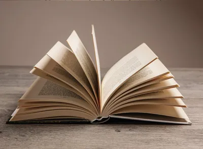 Sinossi Libro
